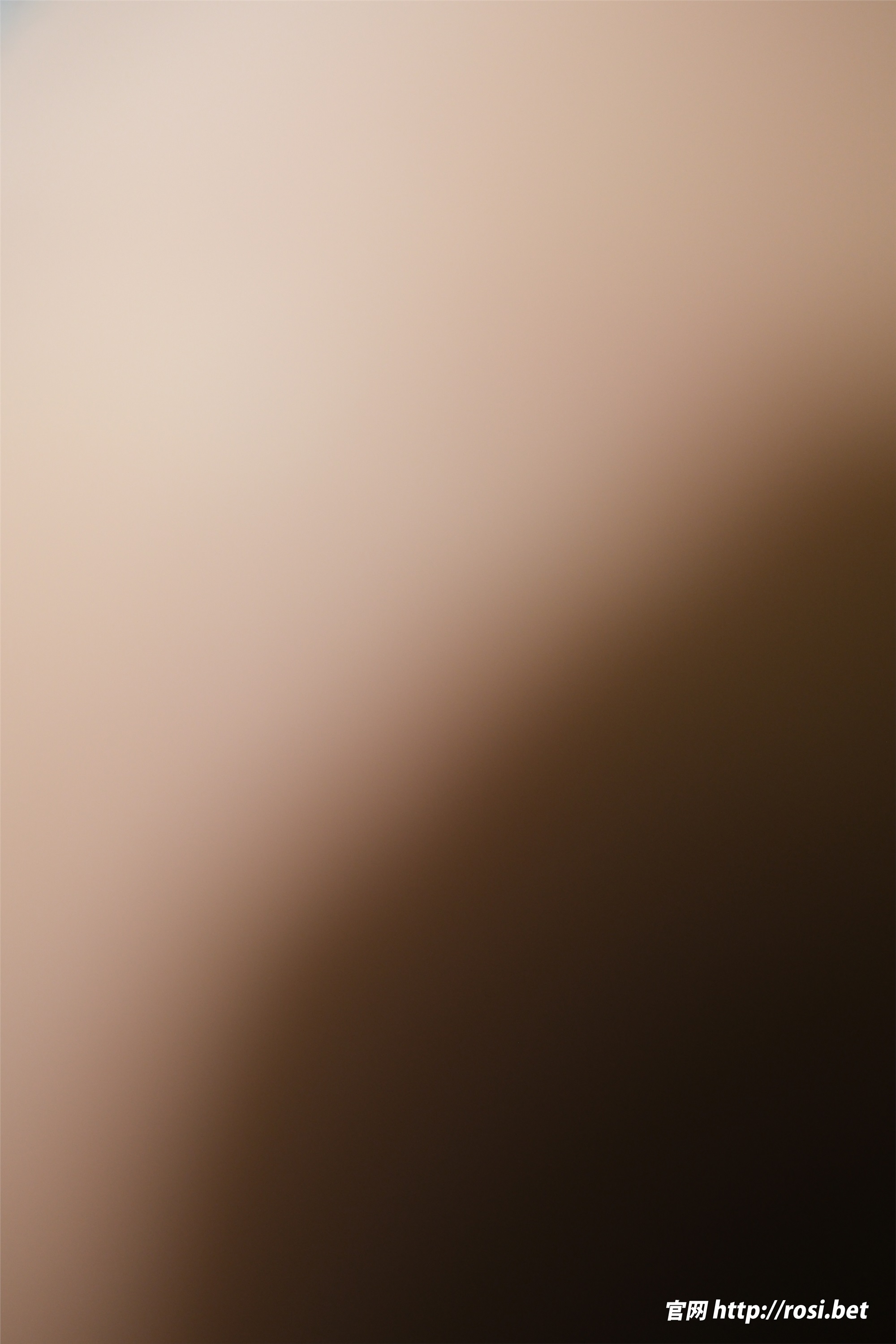 ROSI写真 2025.12.04 NO.5113